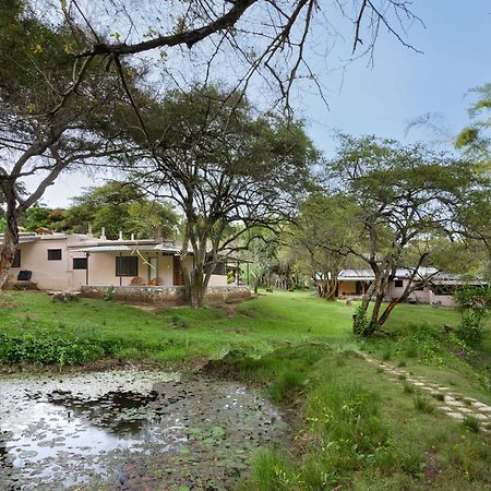 Hotel Jungle Hut Masinagudi Esterno foto
