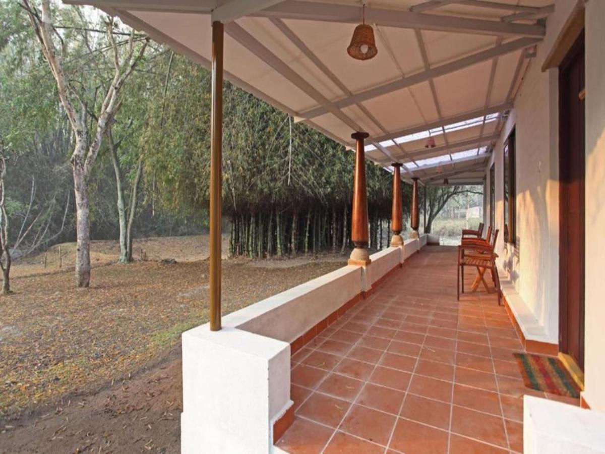 Hotel Jungle Hut Masinagudi Esterno foto