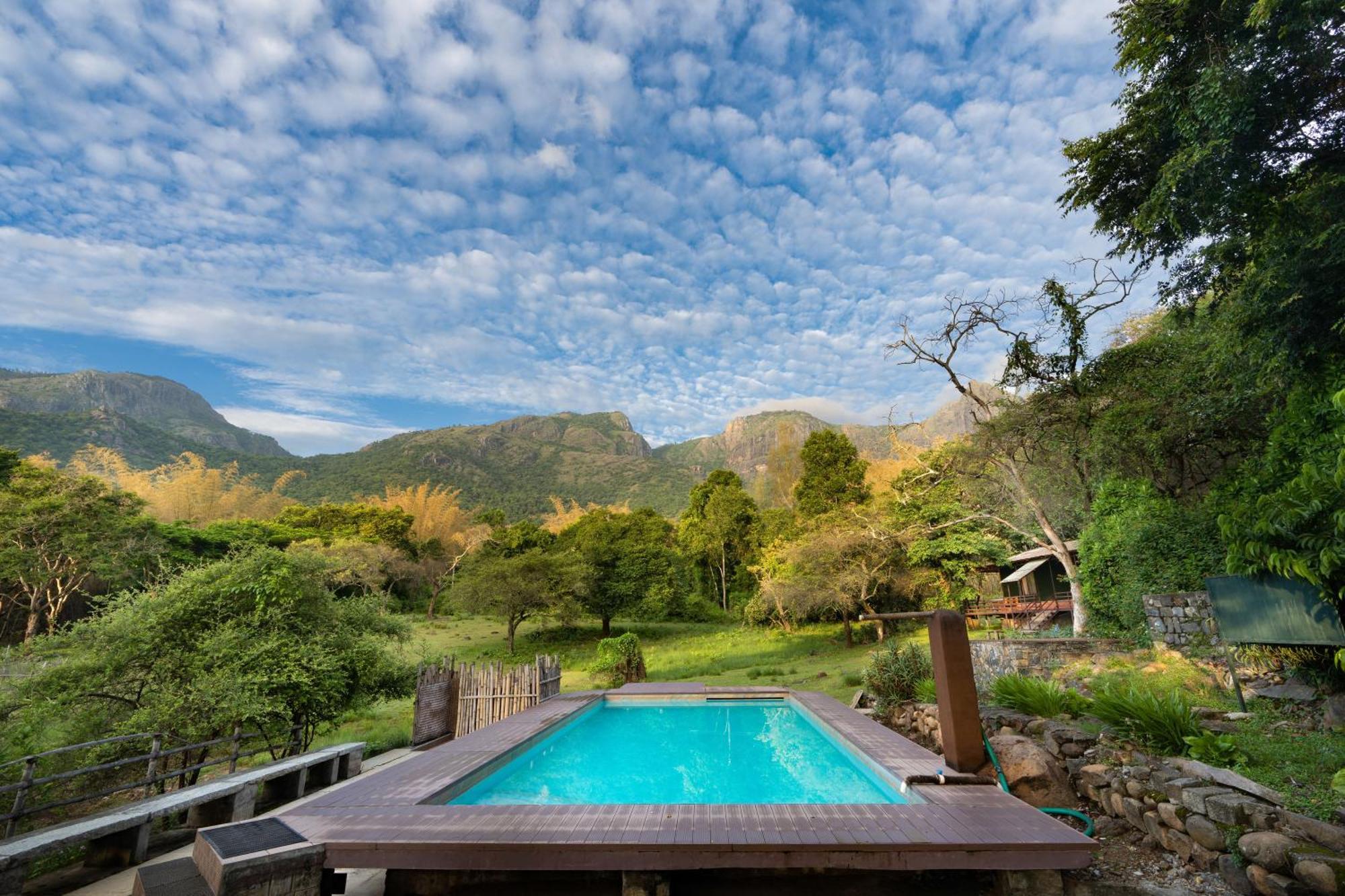 Hotel Jungle Hut Masinagudi Esterno foto