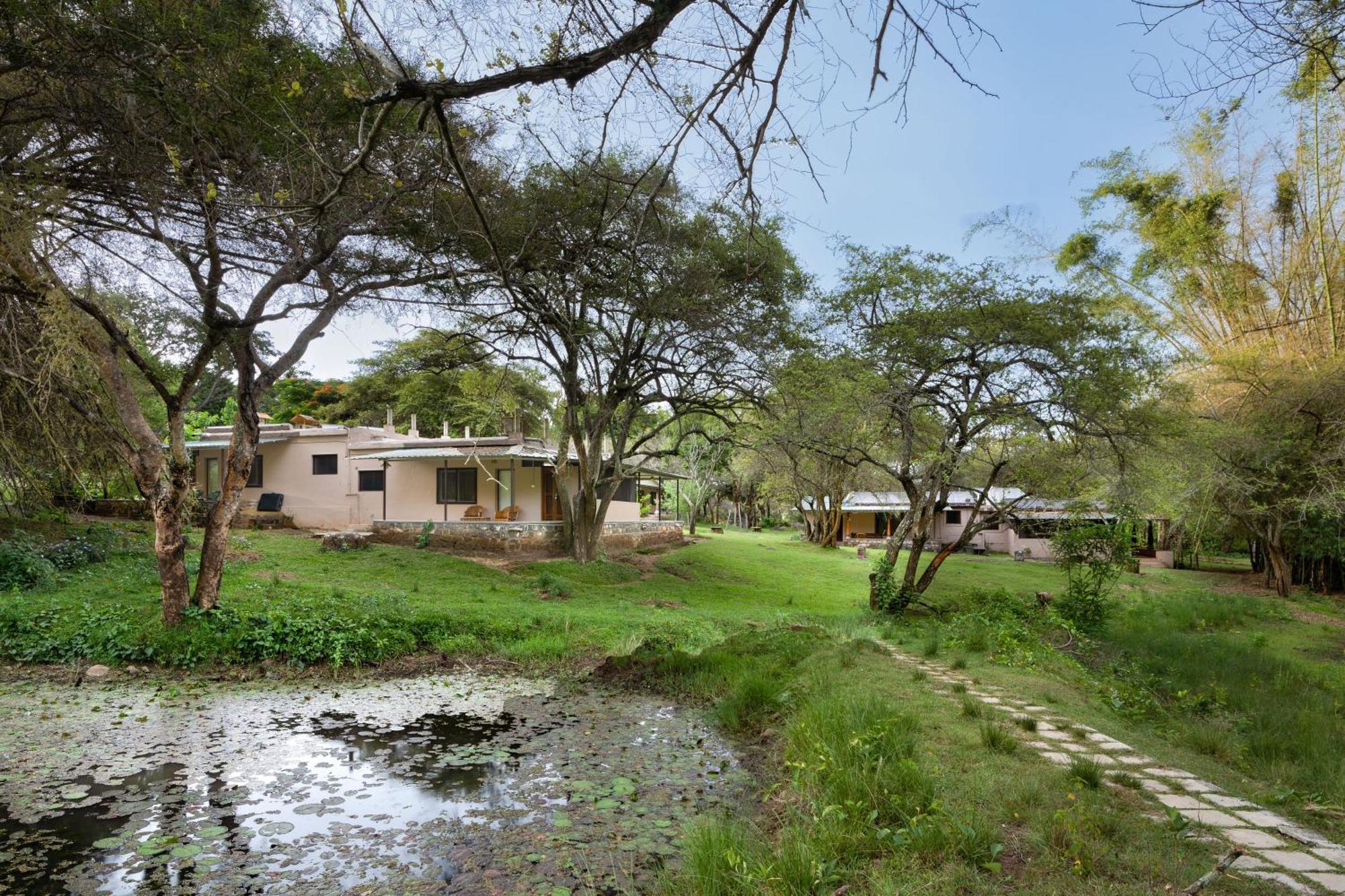 Hotel Jungle Hut Masinagudi Esterno foto